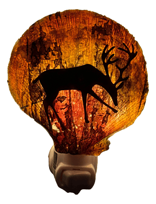 Luminous Birch Haven Shell Nightlight