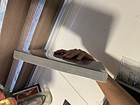 Creed Cervantes (Chess Pieces Book 1) by Hiroyuu101