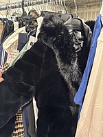 Luxury Retailer APPAREL Pallet