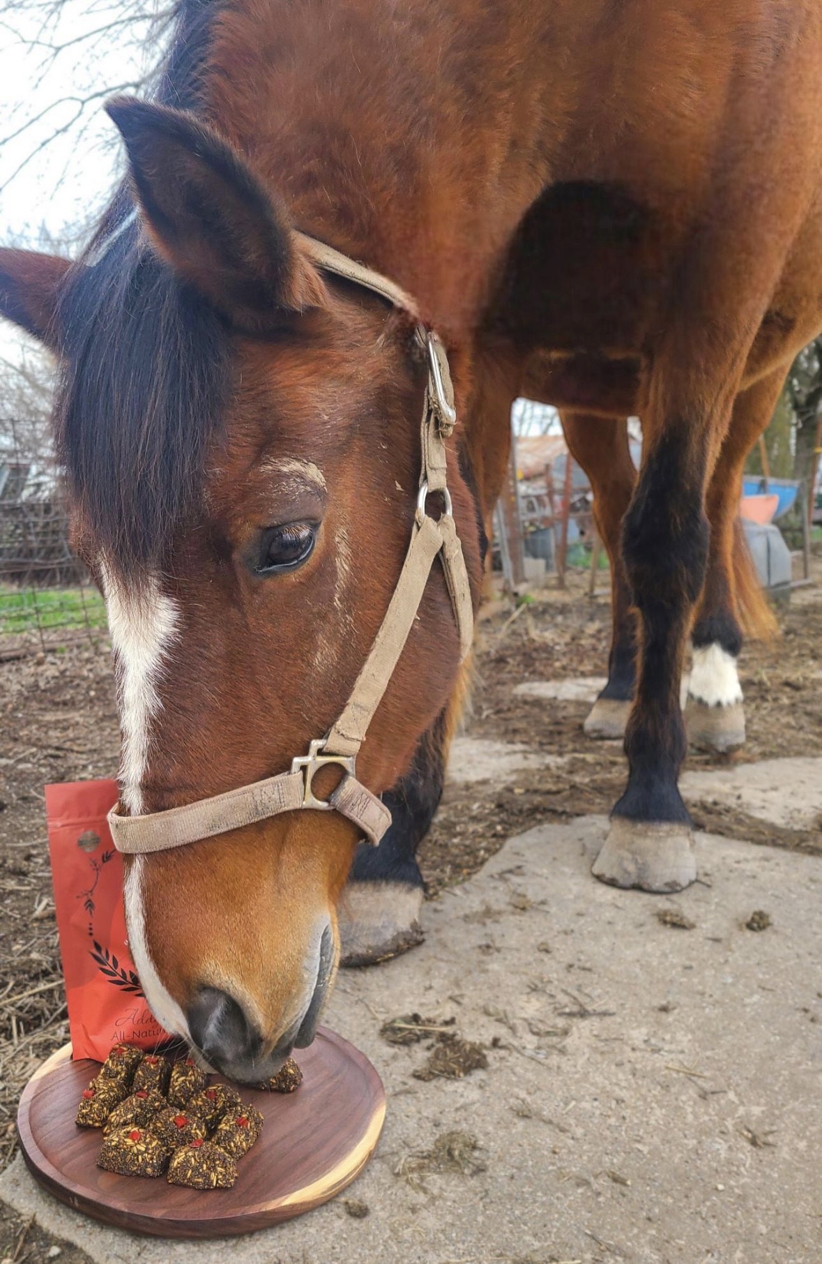 Addy's Barnyard All-Natural Horse Treats