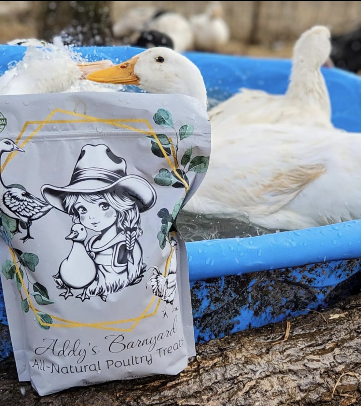 Addy's Barnyard Poultry Treats