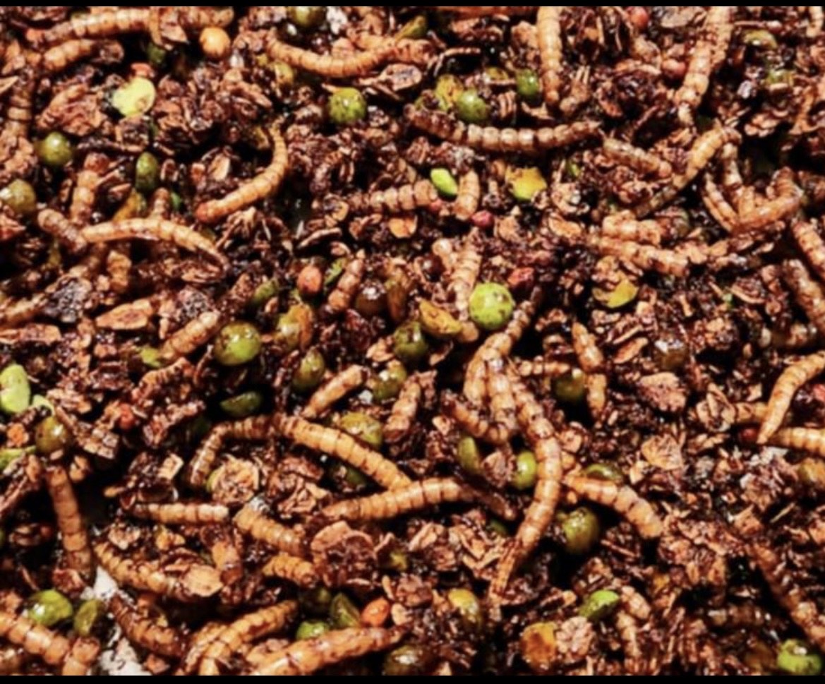 Addy's Barnyard Poultry Treats