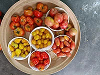 Red Graphes Tomato | சிகப்பு திராட்சை தக்காளி