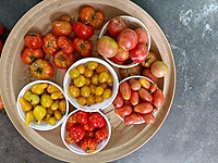 Red Graphes Tomato | சிகப்பு திராட்சை தக்காளி