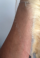 13x5 CBThin HD Lace Closure (Windsor 613)