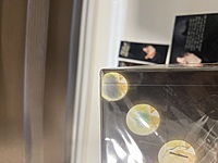 She’s the Cursed Goodess by Ronraviolet