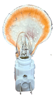 Lavender Lullaby Lamp Shell Nightlight