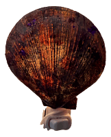 Lavender Lullaby Lamp Shell Nightlight