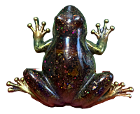Hidden Blossom Hops Resin Frog Hidden Blossom Hops Resin Frog