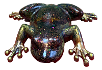 Hidden Blossom Hops Resin Frog Hidden Blossom Hops Resin Frog