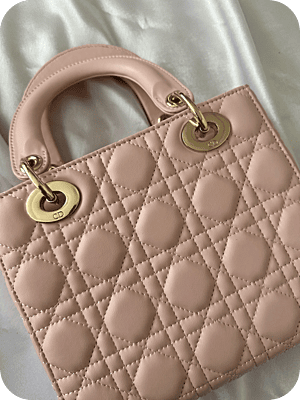 DIOR Bag