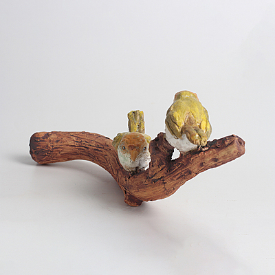 Spice Twins Spice Twins