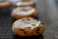 GV's Classic Chocolate Chip Cookies GV's Classic Chocolate Chip Cookies