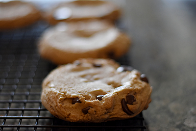 GV's Classic Chocolate Chip Cookies
