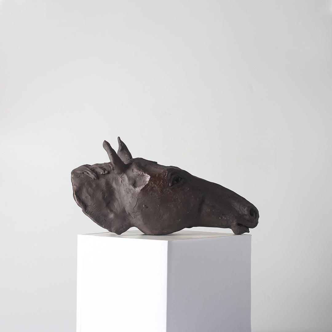 Cacao Steed Cacao Steed