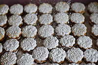 GV's Alfajores
