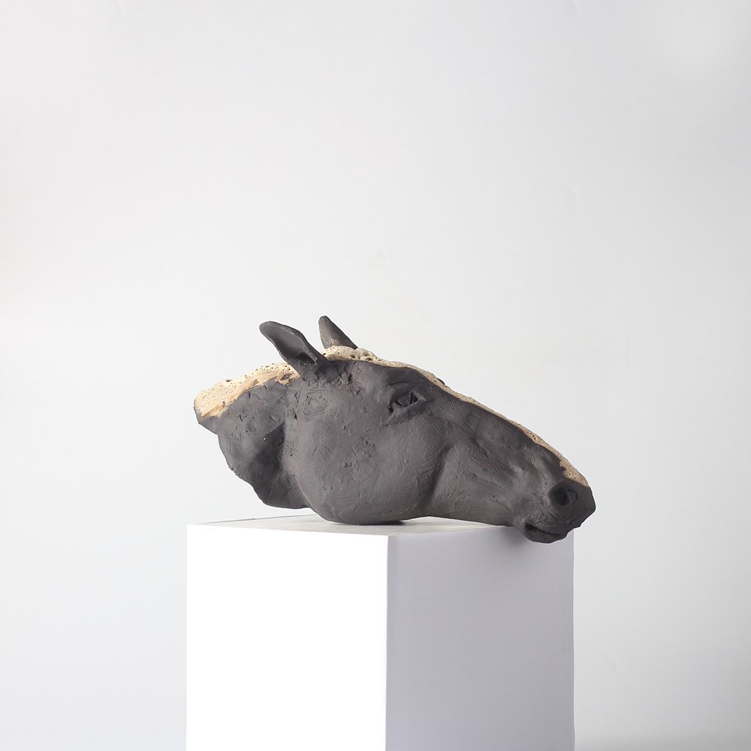 Shadowmane Shadowmane