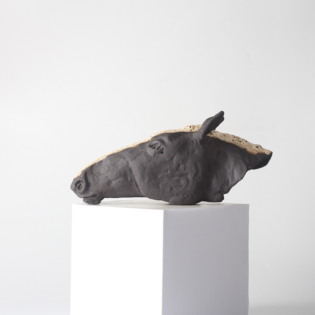 Shadowmane Shadowmane