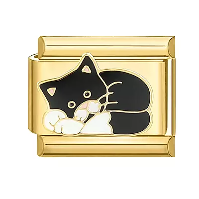 Golden Black Cat
