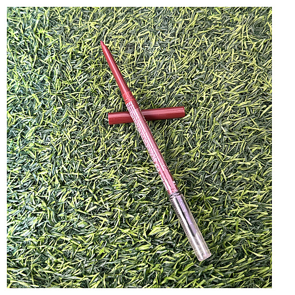 Absolute Perfect Wear Lip Liner- 384