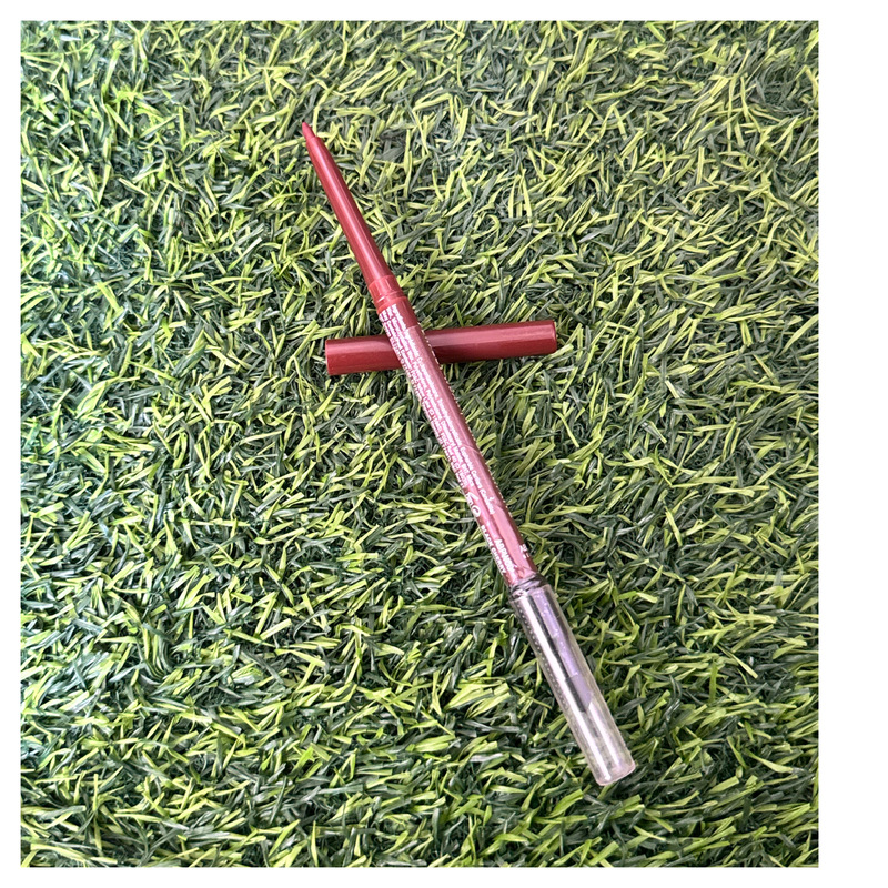 Absolute Perfect Wear Lip Liner- 384