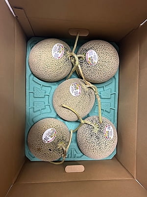 Raiden Melon