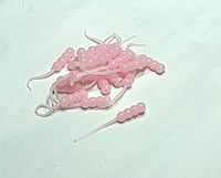 True North Baits - Waxies True North Baits - Waxies