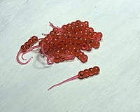 True North Baits - Waxies True North Baits - Waxies