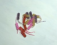 True North Baits - Waxies True North Baits - Waxies