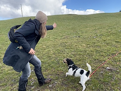 30.03.-31.03.2024 Natural Dogmanship® Follow-Up-Seminar 30.03.-31.03.2024 Natural Dogmanship® Follow-Up-Seminar