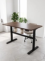Ergonomic Electric Adjustable Desk