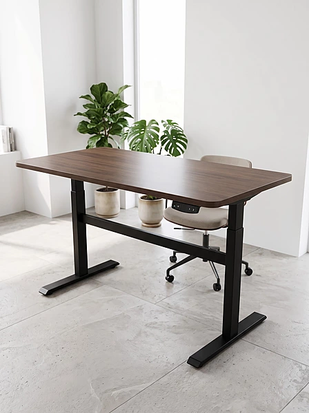 Ergonomic Electric Adjustable Desk