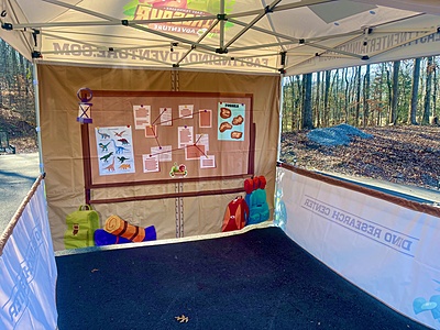 Dino Theme Super Deluxe Tent SetUp Dino Theme Super Deluxe Tent SetUp