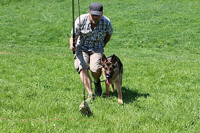 26.04.2026 Hetzangel Workshop - Kommunikation und Spannung intensiv