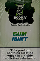 Booma Smoke 25k Gum Mint 10 PACK