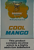 Booma Smoke 25k Cool Mango 10 PACK