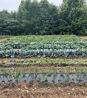 July 18 - 9:00-10:00 Pick-Your-Own Reservation