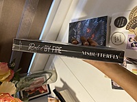 Lead by Through Inferno & Ruled by Fire (Heavenly Sins Series 1 & 2) By Msbutterfly