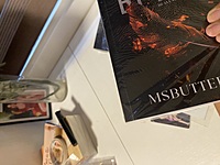 Lead by Through Inferno & Ruled by Fire (Heavenly Sins Series 1 & 2) By Msbutterfly