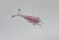 True North Baits - Mini M'eh Fly