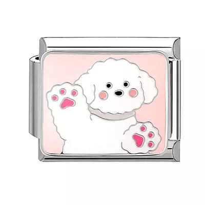 Greeting Cute Poodle