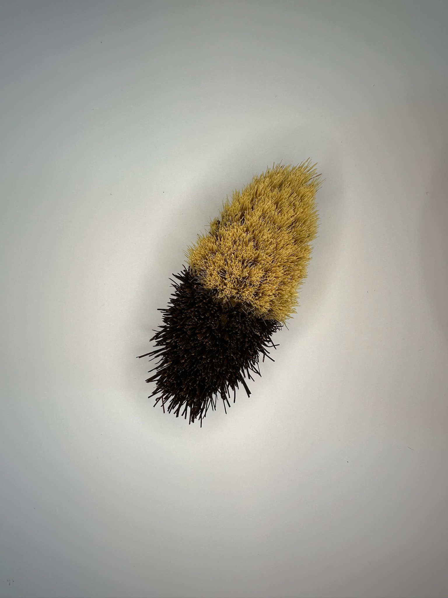 Bamboo Vegetable Brush