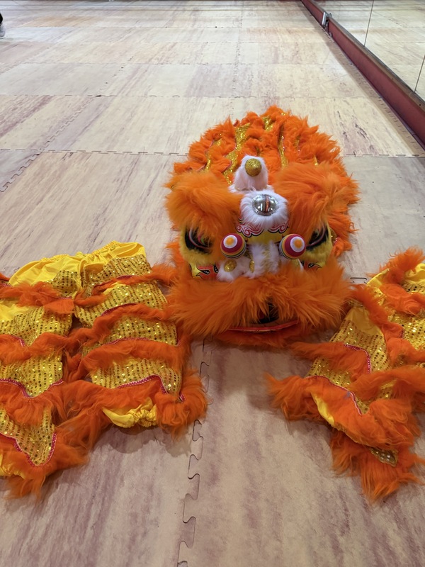 Leon chino para niños