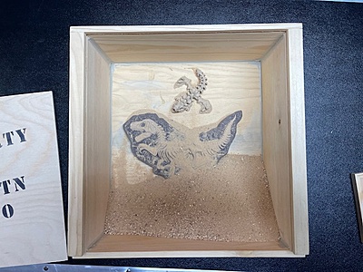 Dinosaur Skulls and Fossil Box Set Dinosaur Skulls and Fossil Box Set