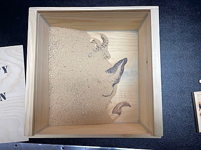 Dinosaur Skulls and Fossil Box Set Dinosaur Skulls and Fossil Box Set