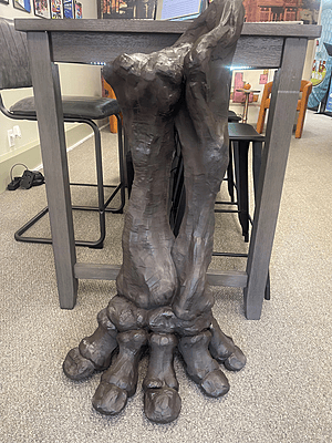 Stegosaurus (Life Size Foot and Lower Leg)