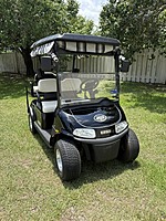 2016 E-Z-GO RXV Black/Stone 1656