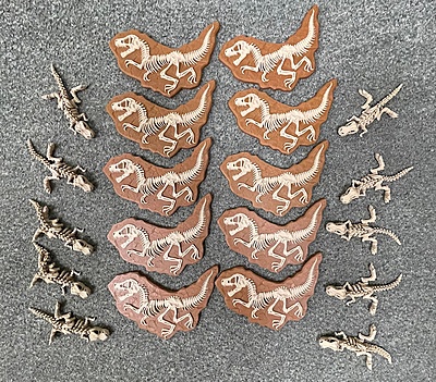 Dinosaur Skulls and Fossil Box Set