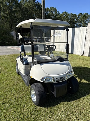 2010 E-Z-GO RXV - White #5319 2010 E-Z-GO RXV - White #5319