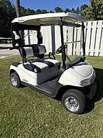 2010 E-Z-GO RXV - White #5319